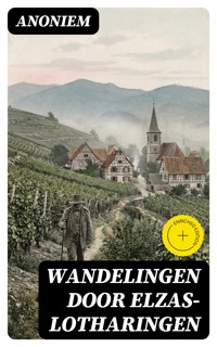 Wandelingen door Elzas-Lotharingen - Anoniem - E-Book