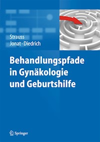Behandlungspfade in Gynäkologie und Geburtshilfe - - E-Book