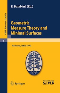 Geometric Measure Theory and Minimal Surfaces - - E-Book