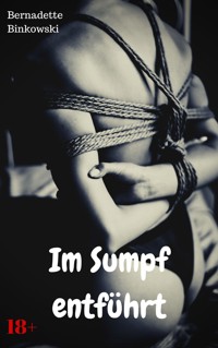 Im Sumpf entführt - Bernadette Binkowski - E-Book