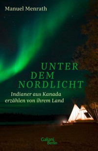 Unter dem Nordlicht - Manuel Menrath - E-Book