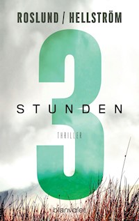 Drei Stunden - Anders Roslund - E-Book