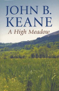 A High Meadow - John B. Keane  - E-Book