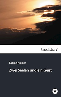 Zwei Seelen und ein Geist - Fabian Kleiker - E-Book
