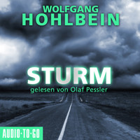 Sturm (Gekürzt) - Wolfgang Hohlbein - Hörbuch