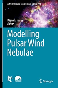 Modelling Pulsar Wind Nebulae -  - E-Book