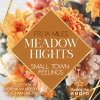 Meadow Hights: Small Town Feelings - New York Gentlemen, Band 10 (ungekürzt) - Freya Miles - Hörbuch