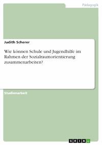Wie können Schule und Jugendhilfe im Rahmen der Sozialraumorientierung zusammenarbeiten? - Judith Scherer - E-Book