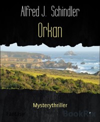 Orkan - Alfred J. Schindler - E-Book