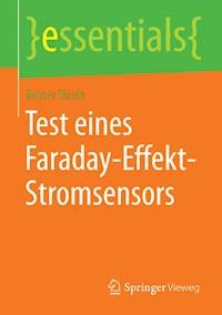 Test eines Faraday-Effekt-Stromsensors - Reiner Thiele - E-Book
