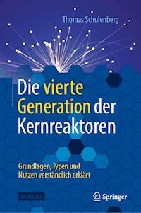 Die vierte Generation der Kernreaktoren - Thomas Schulenberg - E-Book