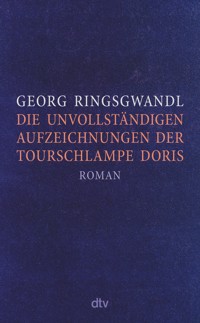 Die unvollständigen Aufzeichnungen der Tourschlampe Doris - Georg Ringsgwandl - E-Book
