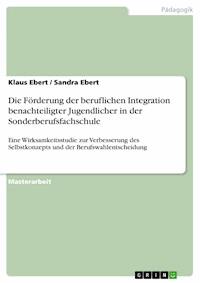 Die Förderung der beruflichen Integration benachteiligter Jugendlicher in der Sonderberufsfachschule - Klaus Ebert - E-Book