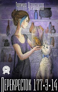 Перекресток 177-3-14 - Галина Чернецкая - E-Book