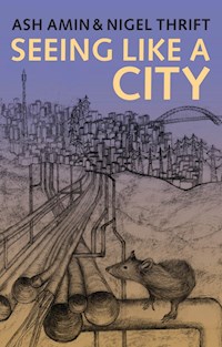 Seeing Like a City - Ash Amin - E-Book