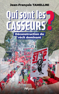 Qui sont les casseurs ? - Jean-François Tamellini - E-Book