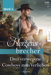 Bianca Herzensbrecher Band 6 - Anne McAllister - E-Book
