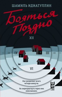Бояться поздно - Шамиль Идиатуллин - E-Book