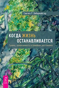 Когда жизнь останавливается. Травма, привязанность и семейная расстановка - Либермайстер Р. Свагито - E-Book