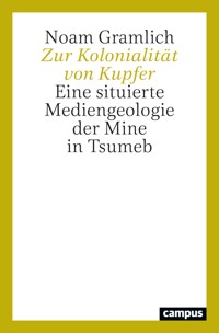 Zur Kolonialität von Kupfer - Noam Gramlich - kostenlos E-Book