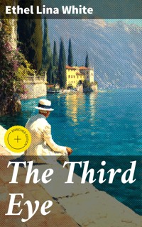 The Third Eye - Ethel Lina White - E-Book