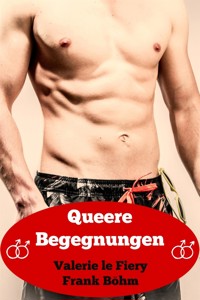 Queere Begegnungen - Frank Böhm - E-Book