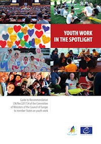 Youth work in the spotlight - Nik Paddison - E-Book