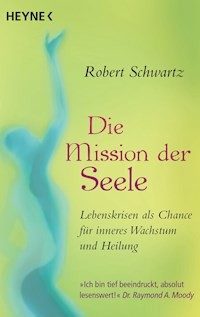 Die Mission der Seele - Robert Schwartz - E-Book
