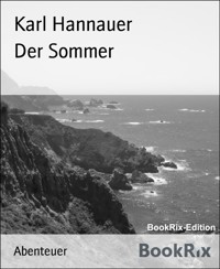 Der Sommer - Karl Hannauer - E-Book