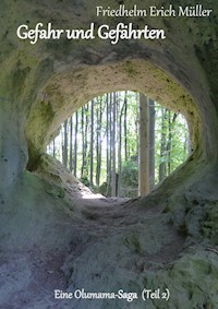 Gefahr und Gefährten - Friedhelm Erich Müller - E-Book