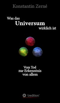 Was das Universum wirklich ist - Konstantin Zerné - E-Book