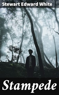 Stampede - Stewart Edward White - E-Book