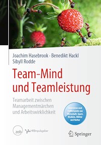 Team-Mind und Teamleistung - Joachim Hasebrook - E-Book