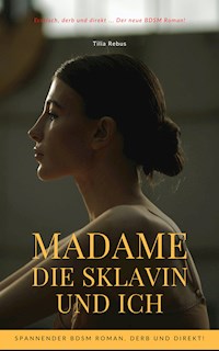 Madame die Sklavin und ich - Tilia Rebus - E-Book
