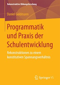 Programmatik und Praxis der Schulentwicklung - Daniel Goldmann - E-Book
