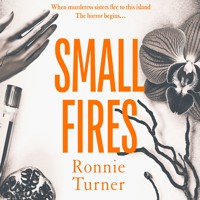 Small Fires - Ronnie Turner - Hörbuch