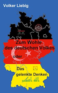 Zum Wohle des deutschen Volkes - Volker Liebig - E-Book