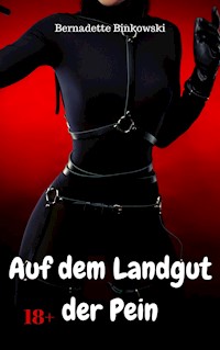 Auf dem Landgut der Pein - Bernadette Binkowski - E-Book