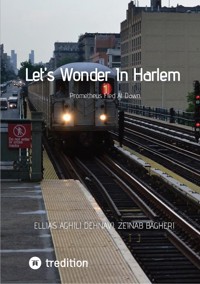 Let's Wonder In Harlem - Ellias Aghili Dehnavi - E-Book
