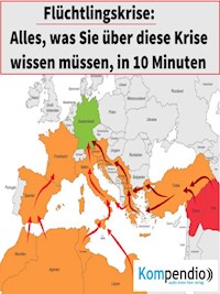 Flüchtlingskrise - Alessandro Dallmann - E-Book