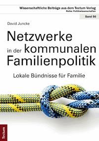 Netzwerke in der kommunalen Familienpolitik - David Juncke - E-Book