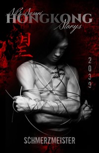 Schmerzmeister - S. B. Sasori - E-Book