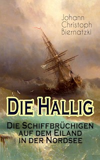 Die Hallig - Die Schiffbrüchigen auf dem Eiland in der Nordsee - Johann Christoph Biernatzki - E-Book