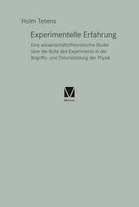 Experimentelle Erfahrung - Holm Tetens - E-Book