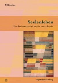 Seelenleben - Till Bastian - E-Book