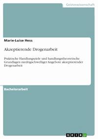 Akzeptierende Drogenarbeit - Marie-Luise Hess - E-Book