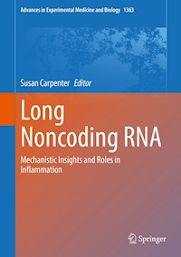 Long Noncoding RNA -  - E-Book