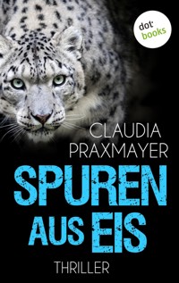 Spuren aus Eis - Claudia Praxmayer - E-Book