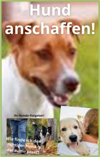 Hund anschaffen! - Karina Bernd - E-Book