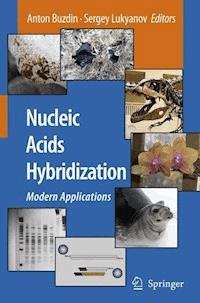 Nucleic Acids Hybridization -  - E-Book